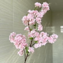 ����ѻ�֦���ܙѻ����c�bҾ�ܛ�b�쾰�Ƶ깤�̸߷���ѻ�