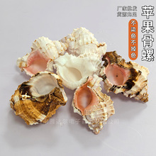 ��ؐ�~�ľ�з��Q����Ȼؐ���O������ �L���ݶ��⻨���~���쾰