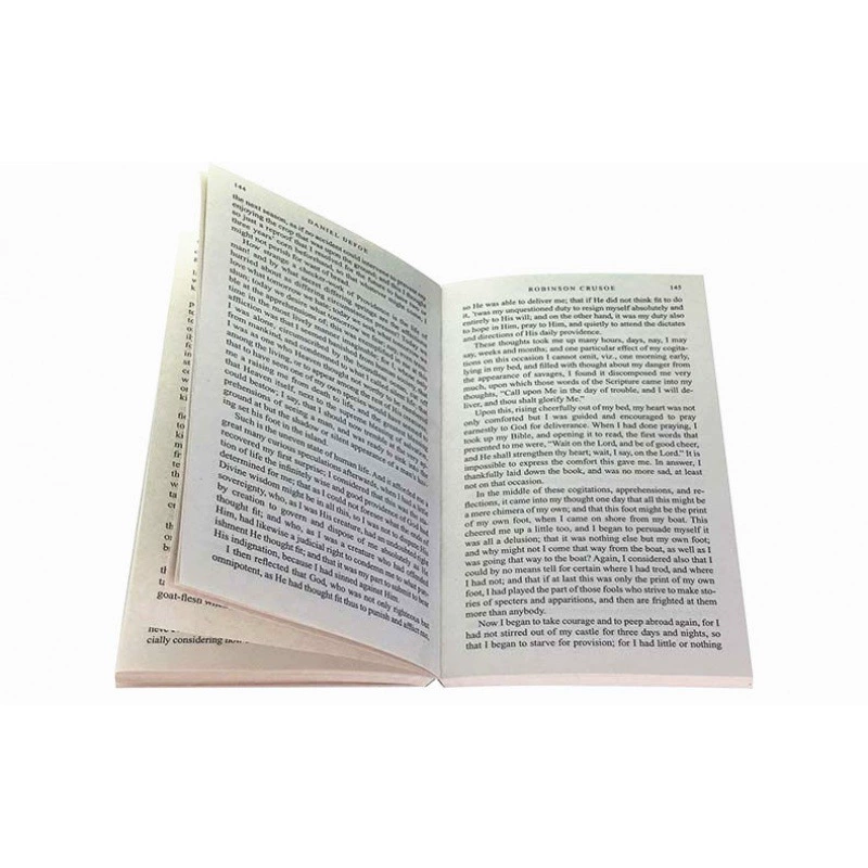 Робинзон Крузо Робинзон Дрифтинг английская оригинальная повесть книга флейта мир классика Lu