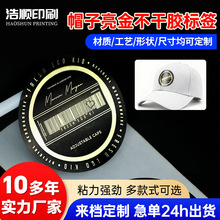 ��������ñ���N�� ����A�ν�ɫ����ñ�˺� ӡˢlogo�����zñ�N�S