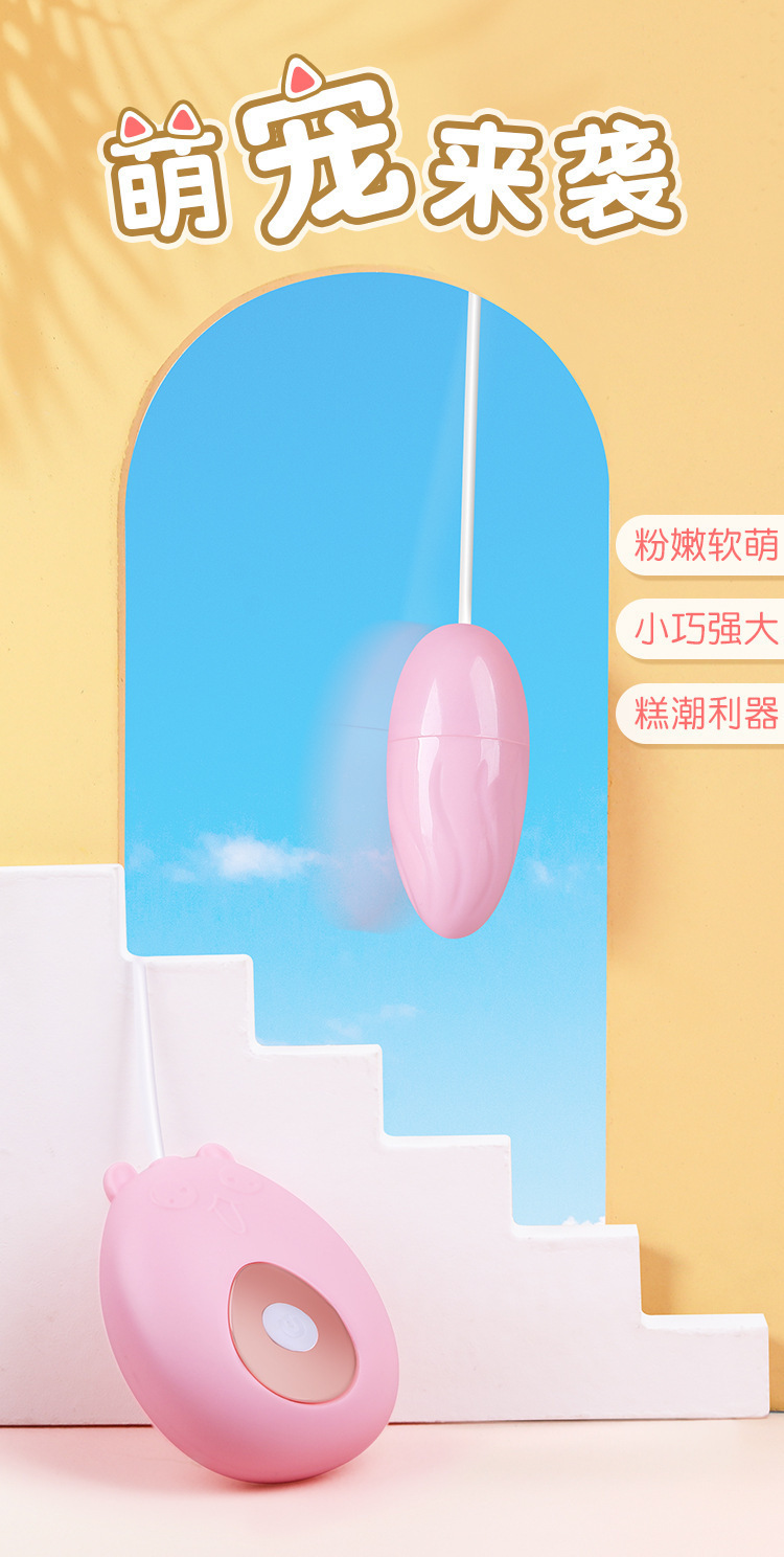 Mystery Vibrator Series Dual Egg Vibrator in Purple, ABS, Electric Button Control — detail image 5