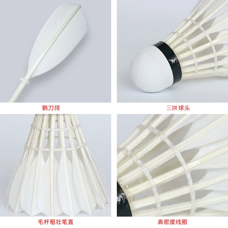 南极风 系列 S-8000 激活 烟雾 魔术 羽毛球 12 Perbato Sword Matter Ball Ball