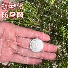 ���B�W������@��С�B�ľW�������������B�W�~���̨���Ҙ����ј�