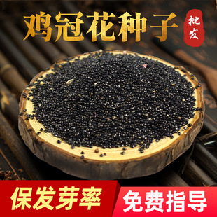 �u�ڻ��N����ș�Ļ��ܷN�ѷN�翹����������Nֲ���λ�һ�������]