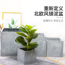 SֱNˮ໨@ͥԺ̨Ƶ꾰^WʽVGֲ