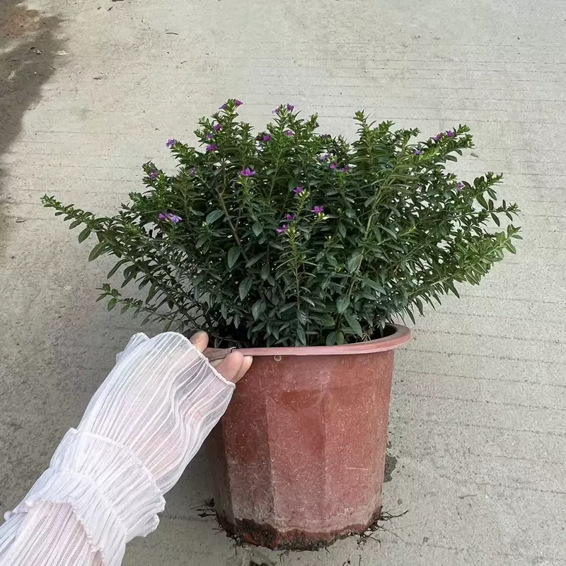 Товар