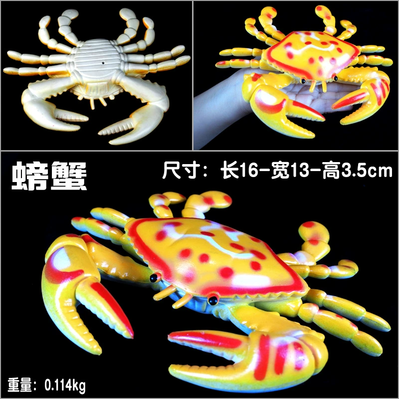 Игрушка, большие морские когнитивные украшения