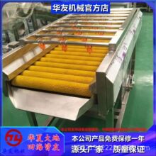 全自动水果清洗机贝贝南瓜喷淋式平行毛刷清洗机 洗果机