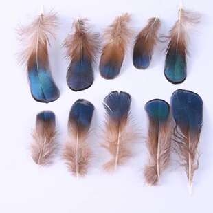 �S��ֱ�N��Ҏ���~�u�{Ƭ��ȻҰ�uë���b�o�ϼҾ��b��ֹ�diy��ë