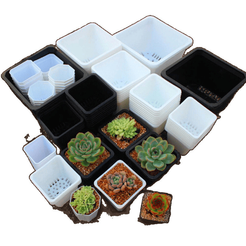 多肉植物の植木鉢、厚みのある大小の八角形の植木鉢、プラスチック卸売家庭用鉢植え葉挿し苗ポット、直販卸売|undefined