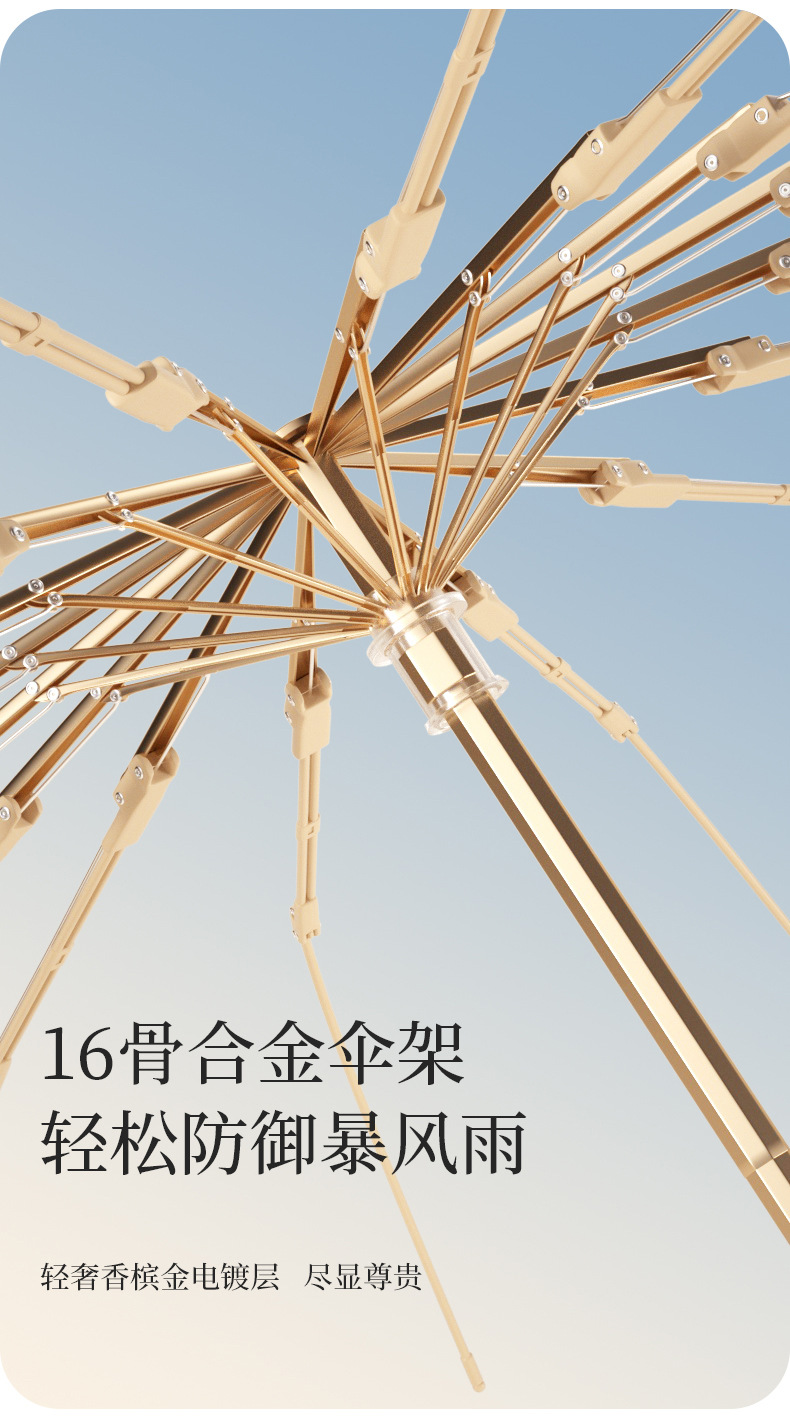 刘-_04