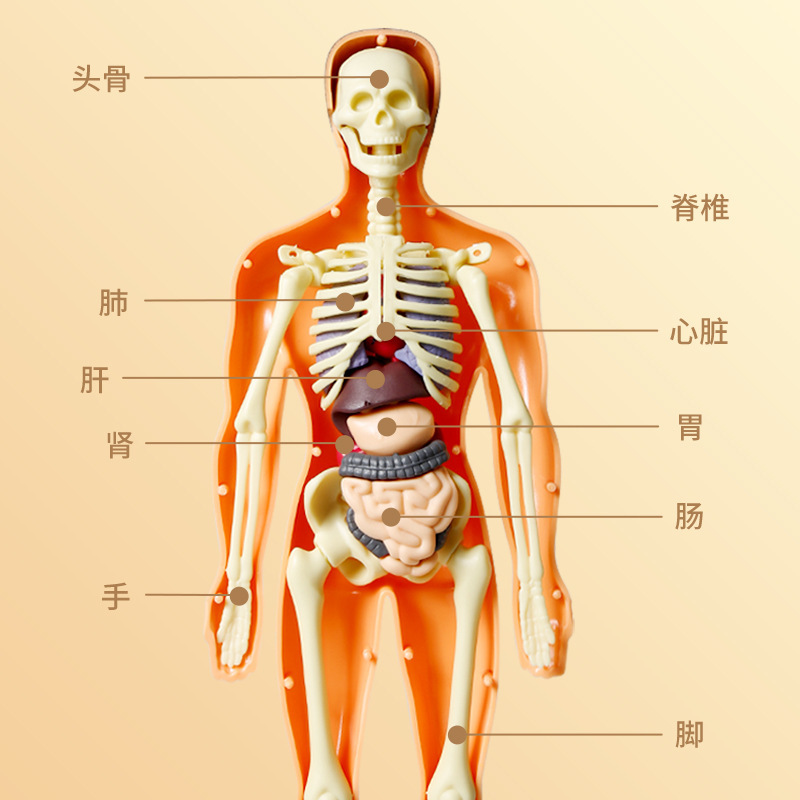 商品图