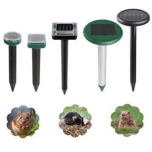 Amazon�羳̫��ܳ������������������x����ƺ���@ͥԺ�����