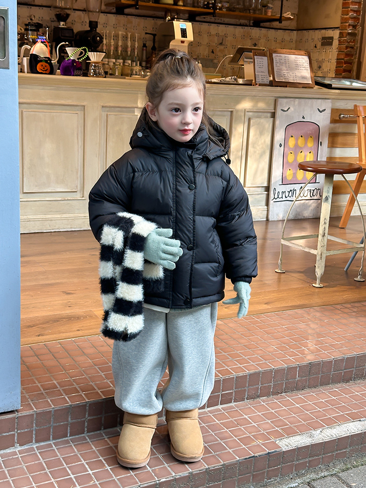 2024-11-03 155505.jpg