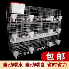 ӻ\Ʒ12λBֳ䌦ֳ\Bֳ\\