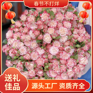 �ۼt�ذ껨���^�����滨��ϻ���ˮ�Bֱ�l���]�߶˶��Ӱٺρ��R�d