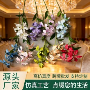 �S�����l�������^�����m��c�Y�ò����ҾӔ[���b�������{�ٻ�