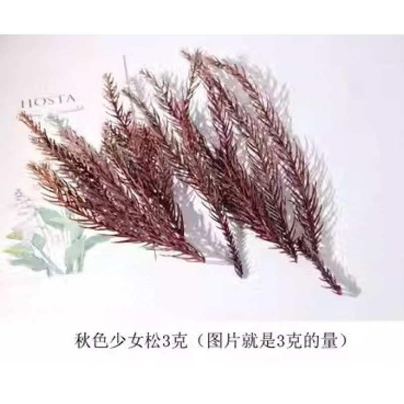 Organic sample, photo frame handmade, Christmas materials set, DIY