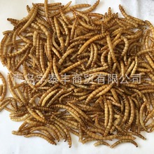 �S���x ����x �^�p�~�ϵ��נI�Bԭ��