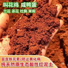 红土杜鹃兰花茶花茉莉红泥土颗粒酸性营养土叫花鸡茶叶蛋粘土