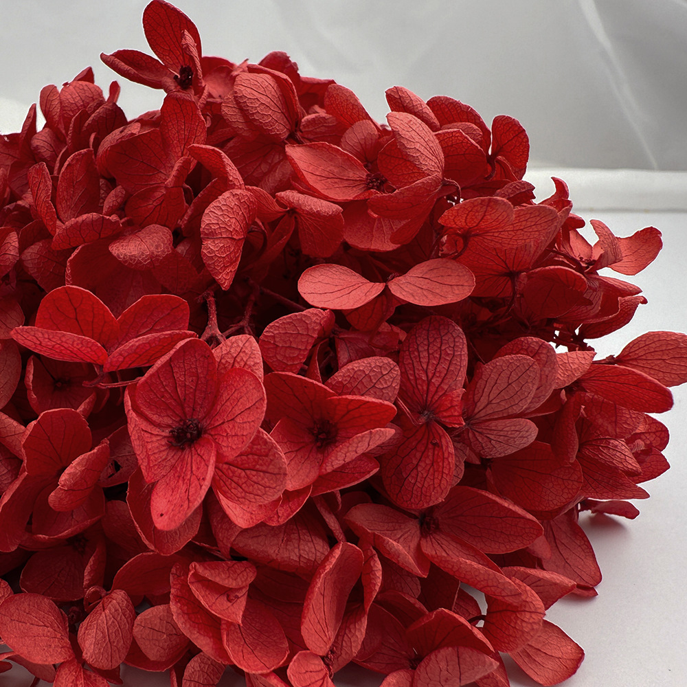 Flores de hortensia preservadas de calidad A+ del fabricante de Yunnan, flores preservadas en caja de 20g.