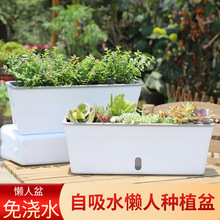 跨境专供双层花盆种菜盆厂家懒人花盆批发塑料创意现货懒人花盆