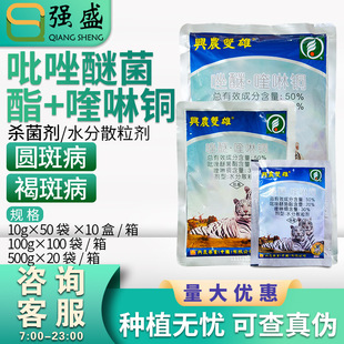 �d�r�p�� 50%�����Ѿ���&middot;����~ ���٘�֬�������߲��������rș