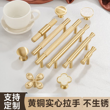 ��ʽ�����S�~���� ��ϙ������^���T���� �����~���ּҾ����