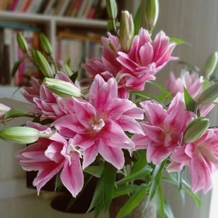 �ذ���ˮ�ٺϷN�������҃��̨�ļ��_�����������ܷN�Ӷ��^��ѿ