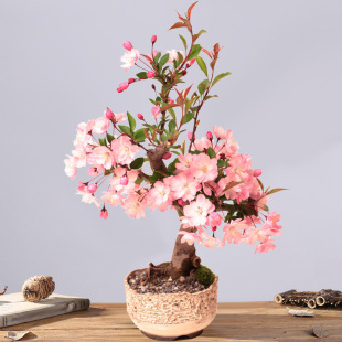 ���Ļ����Ԙ����辰�ذ��Ϙ�ͥԺ�Gֲ���҃��ļ������_�����B�׻�