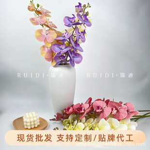 ���滨3D��ӡ9�^�����m ��c�����Ĕz���ߵ��żҾ��b����컨�ٻ�