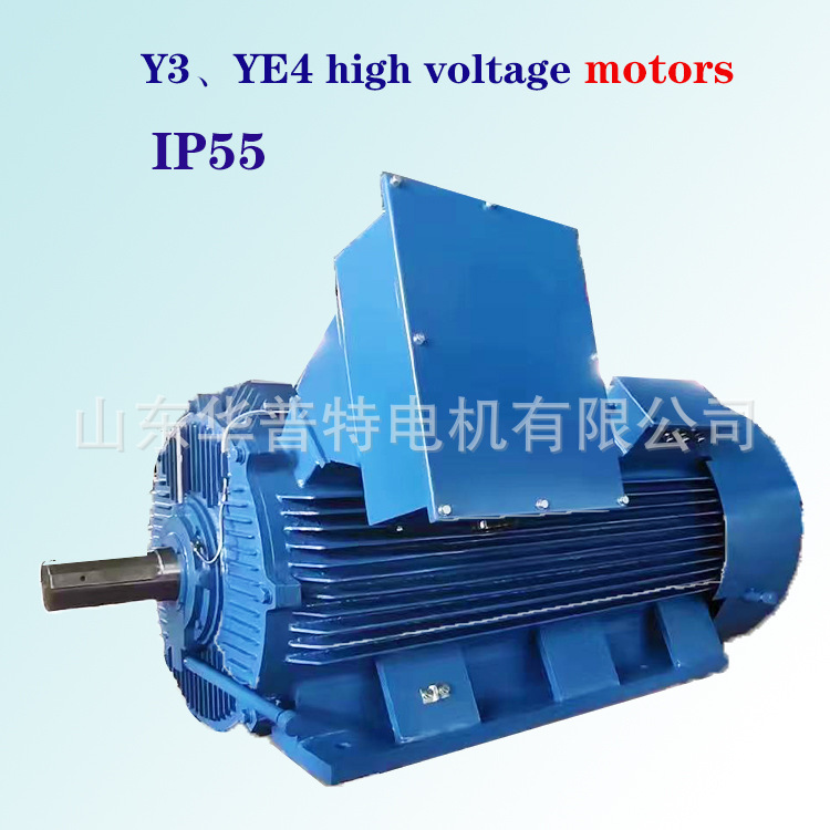 出口欧洲Y3-500-4/800KW 6KV 高压电机 IC411  IP55
