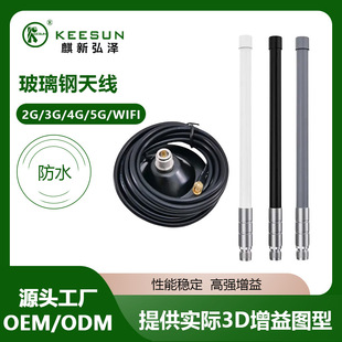 Outdoor WLAN Wireless Lan Omnidirectional Fiberglass Dual-band 2.4/5.8GHz Antenna