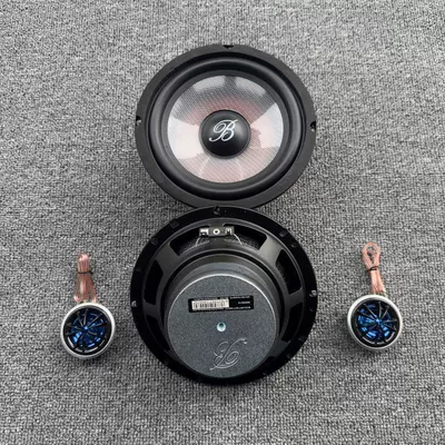 Disassembled Baohua Berlin Sound Car horn/tweeter - front-door-4-pieces-2-mid-bass-2-tweeters-single-speaker-universal