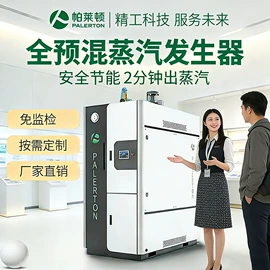 蒸汽发生器;燃气锅炉