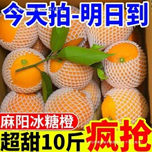 ���]������ꖱ��ǳȮ������r�������l�����Fժ�SƤ�����Ě������