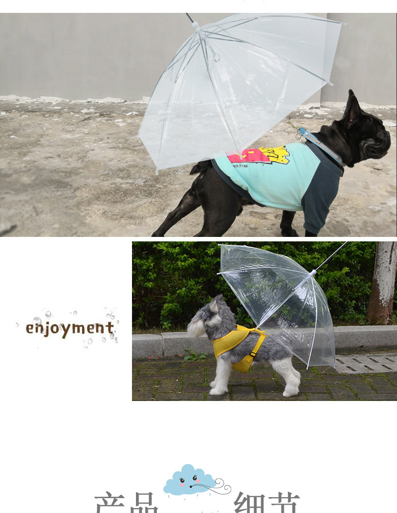 宠物用品亚马逊爆款宠物雨伞