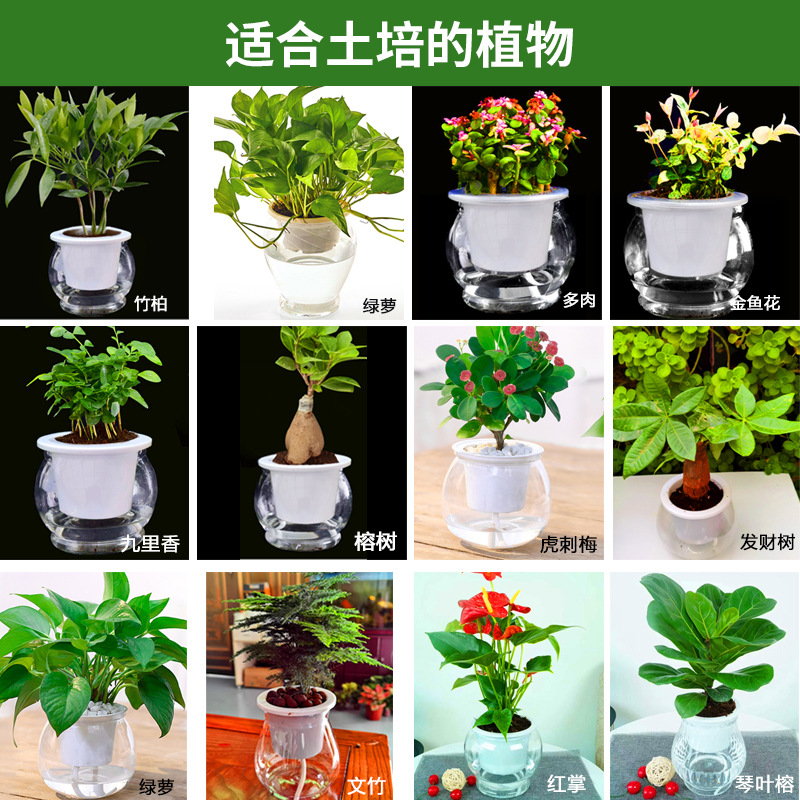 透明な特別な水耕植木鉢水生植物室内容器プラスチック花瓶デスクトップポトスディスプレイ水耕ポット