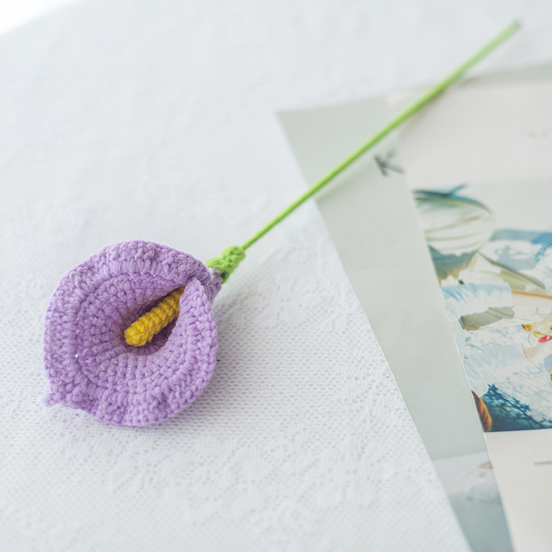 단일 보라색 칼라 릴리