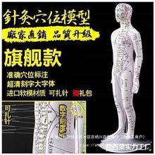 ����ʮ��Ƥ�˴�����ģ�ʹ���ģ����ҽͭ��ѨλС������뾭��ͼ��