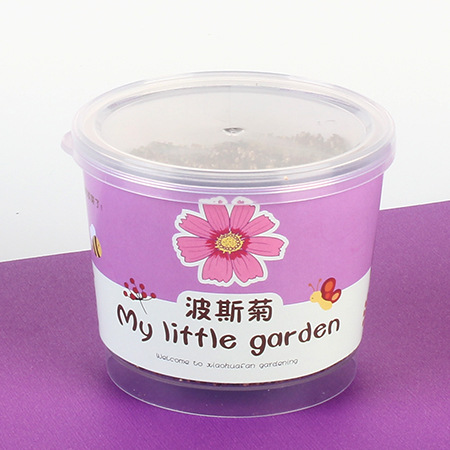Niños plantan pequeños jardines de infantes fresas plantas de mesa mini caja ciega diy verde juguetes puestos al por mayor image 22