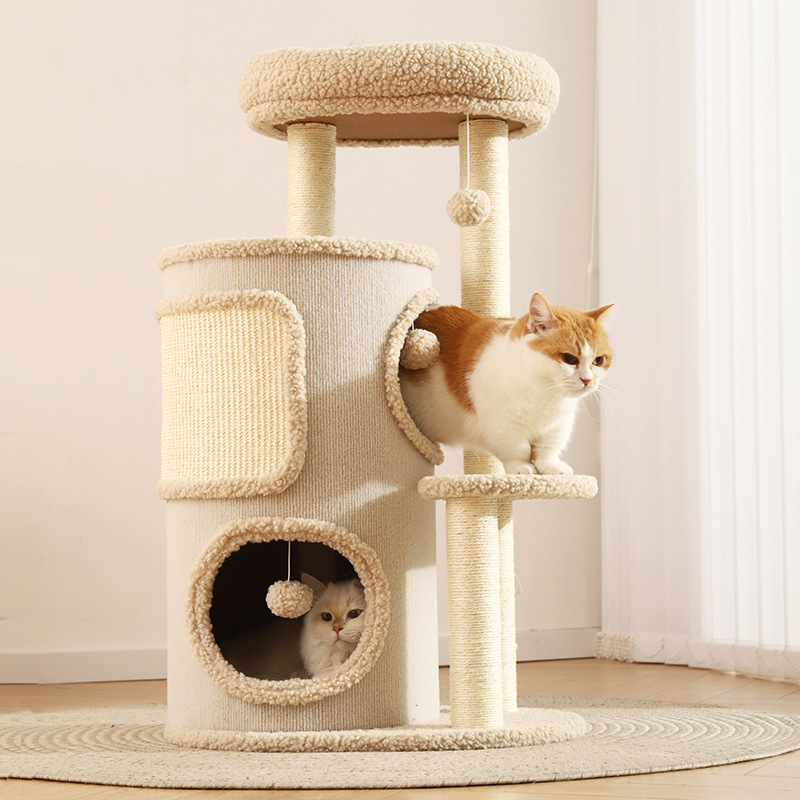 猫が棚に登って家庭用の小戸型は木の穴の猫の巣を占有しません。|undefined