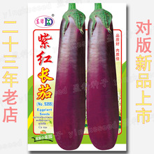 茄子种子紫红长茄紫红色种籽春夏季蔬菜种籽肉厚菜籽种孑大