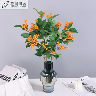 ���滨 ���̻� �ָ�ܛ�z����Ҿ�ܛ�b��̻�c�[��������ˇ�ٻ�