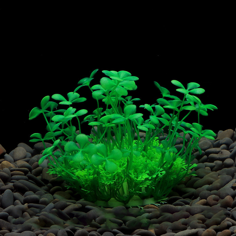 Suerte hierba verde
