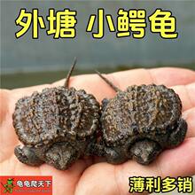 ����С����걱�������ӷ𱬴���ˮ����������ڹ�������������