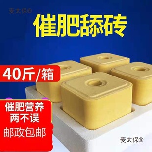 ţ����u�����}�uţ����u΢��Ԫ�ؠI�B�}�K���������ţ����̫��