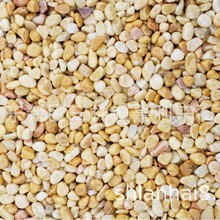 �zճʯ ͸ˮʯ ���d���� ˮˢʯ ˮϴʯ�Z��ʯ�Ϻ���ɫʯ��¶����