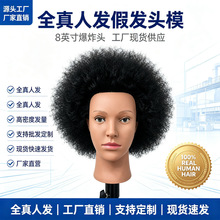 黑色脸型爆炸头发型教习头假发头模女士公仔头工厂直销真人发新款