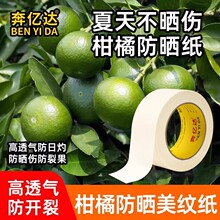 柑橘防晒贴纸沃柑桔子水果太阳果防晒修复贴果园粑粑柑橙子防日灼